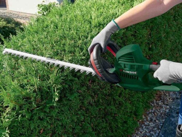 Parkside® 650W Electric Hedge Trimmer - Image 2